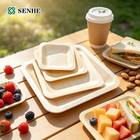 Assiettes jetables carrées en bois de peuplier biodégradable en gros avec certificats FSC FDA LFGB CE pour le marché américain
