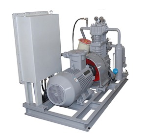 Compresseur de biogaz basse pression de type diaphragme sans huile, volumétrique et antidéflagrant - Product Image 1