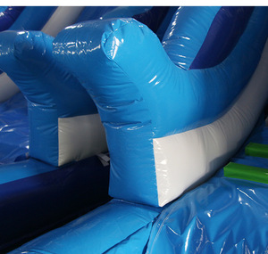 Toboggan aquatique gonflable Dolphin <span class=keywords><strong>de</strong></span> qualité commerciale, trampoline, piscine, matériau PVC, garantie 3 ans, personnalisable pour adultes et enfants, idéal pour les fêtes - Product Image 5