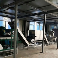 Machine entièrement automatique de haute qualité pour peler l'ail / Machine à peler l'ail en chaîne