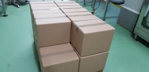 Granulado de Calabacín Seco Natural de 1-3mm, Grado Alimenticio, a Granel, Selección GVERDI, Hecho en Italia para la Industria Alimentaria - Product Image 6