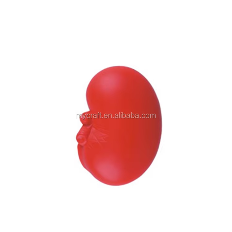 Soporte para pedidos OEM/ODM y muestras personalizadas