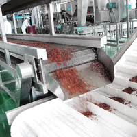 Automatische zeebuckthorn verwerkingslijn van roestvrij staal, apparatuur voor de productie van zeebuckthorn puree, jam en olie