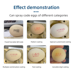Demin liên tục trứng ngày máy in tự động máy in phun cho trứng trực tuyến máy in phun tốc độ cao hết hạn trứng mã hóa máy - Product Image 4