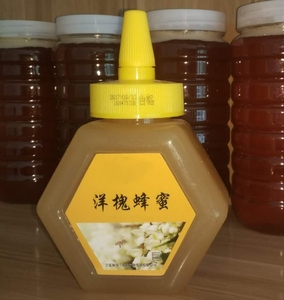 Contenedor <span class=keywords><strong>de</strong></span> embalaje <span class=keywords><strong>de</strong></span> miel vacío, tapa <span class=keywords><strong>de</strong></span> <span class=keywords><strong>pico</strong></span>, botella <span class=keywords><strong>de</strong></span> almacenamiento <span class=keywords><strong>de</strong></span> jarabe <span class=keywords><strong>de</strong></span> salsa, tarro <span class=keywords><strong>de</strong></span> plástico hexagonal <span class=keywords><strong>de</strong></span> plástico para miel <span class=keywords><strong>de</strong></span> <span class=keywords><strong>abeja</strong></span>, salsa <span class=keywords><strong>de</strong></span> tomate, soja - Product Image 1