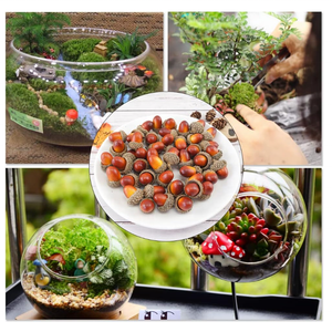 Ghiande artificiali dado realistico piccole ghiande finte per <span class=keywords><strong>la</strong></span> creazione di decorazioni natalizie per <span class=keywords><strong>la</strong></span> casa di nozze - Product Image 6