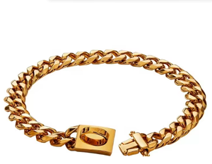 Metall Haustier Training Choke Kette Gold Hunde halsband für kleine mittlere Hunde zubehör Edelstahl Cuban Link Bulldog 32mm BÄNDER - Product Image 4