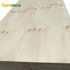 Madera de pino Radiata para construcción, núcleo de álamo CDX de 4x8 pies, buena calidad