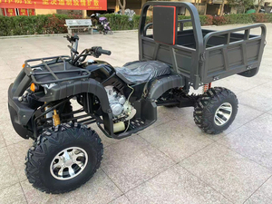 <span class=keywords><strong>Cuatrimoto</strong></span> ATV de 200cc <span class=keywords><strong>con</strong></span> Arranque Eléctrico, Refrigeración por Aire, Transmisión Manual por Cadena, 4 Tiempos, 2WD, Velocidad Máxima de 80km/h, Económica en Venta - Product Image 2