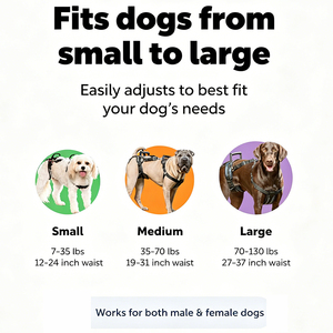 Harnais de levage pour chien avec poignée, pour chiens âgés, handicapés, blessés, grands chiens, aide à la marche en extérieur, harnais de levage pour animaux de compagnie - Product Image 3