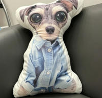 Almohadas Personalizadas con Fotos de Perros, Almohada Lumbar Sublimada con Forma Irregular para Gatos, Almohadas Decorativas para Exteriores con Fotos Personalizadas