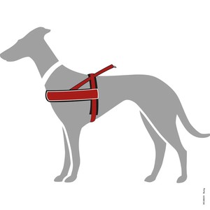 <span class=keywords><strong>Harnais</strong></span> pour <span class=keywords><strong>chien</strong></span> personnalisé OEM avec nom d'animal, <span class=keywords><strong>harnais</strong></span> pour <span class=keywords><strong>chien</strong></span> norvégien, logo personnalisé, sangle en nylon, <span class=keywords><strong>harnais</strong></span> anti-traction pour <span class=keywords><strong>chien</strong></span> - Product Image 2
