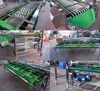 Aangepaste avocado sorteermachine, kersen sorteermachine, fruit sorteermachine voor fruit