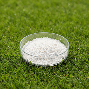 <span class=keywords><strong>Cloro</strong></span> Granular Ecológico Sin Daños para la Limpieza del Agua de Piscinas - Product Image 6