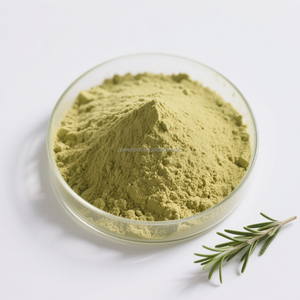 Food Grade Premium suplemen ekstrak Rosemary asam Carnosic bubuk Herbal antioksidan dalam botol kemasan kaleng Drum - Product Image 2