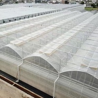Serre commerciale de haute qualité avec ventilation papillon, recouverte d'un film plastique, ensemble complet pour la culture de légumes et de fruits