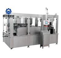 WM 36-6 Jus De Fruits Canning ligne De Production alimentaire machines fabricant de La Chine