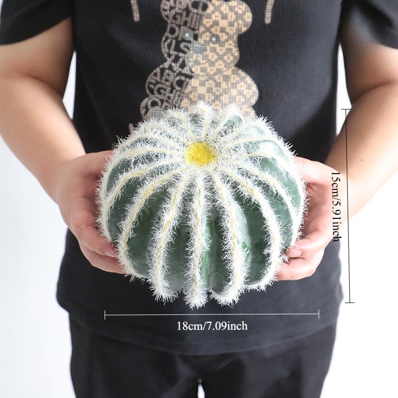 white striped velvet cactus 18cm