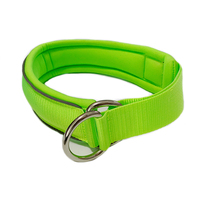 Collier de chien Martingale en nylon durable, personnalisé, ultra doux, rembourré en mousse, réfléchissant, à enfiler