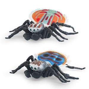 Modelli di insetti e animali per esportazione transfrontaliera Xinhen, <span class=keywords><strong>ragni</strong></span> <span class=keywords><strong>saltatori</strong></span> rosso-blu, pavone, a strisce orizzontali - Product Image 2
