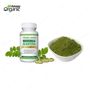 99,9% reines Bio-Moringa Oleifera-Blattex trakt pulver Moringa-Blatt pulver