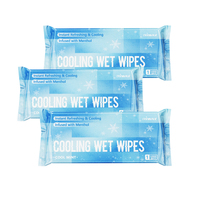 Lingettes Rafraîchissantes au Menthol OEM à Vente Chaude pour l'Été, Élimination Instantanée de la Transpiration, Rafraîchissement et Éclat, Sachets Portables pour la Gym et les Voyages