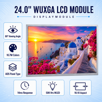 Modulo LCD BOE EV240WUM-N10 da 24 Pollici, 1920x1200 WUXGA LVDS 600nits ADS TFT per Uso Industriale, Medicale e Segnaletica Digitale, Angolo di Visione 89°