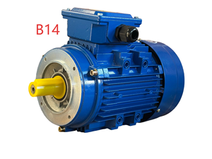 ความเร็วสูง2800รอบต่อนาทีมอเตอร์สองขั้วแบบอะซิงโครนัสสามเฟสตัวเรือนอลูมิเนียมสำหรับพัดลมอุตสาหกรรมและเครื่องบด4.0kw 0.09kw - Product Image 3