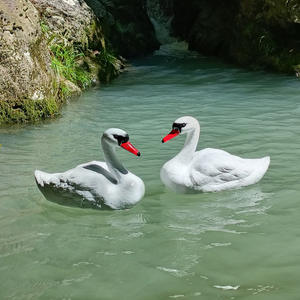 แม่พิมพ์เหยื่อล่อเป็ดพลาสติกสีดำสำหรับล่าสัตว์กลางแจ้ง น้ำหนักเบา ใช้สำหรับยิงล่าเป็ด - Product Image 5