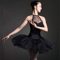 Vente en gros adulte robe de ballet dentelle ballet une pièce robe d'entraînement sans manches col droit professeur danse corps costume sexy justaucorps