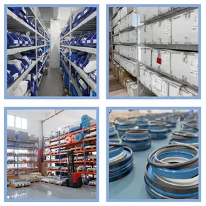 Chinese Factory Oil Seal Radial Shaft Oil Seals General Industrial Applications Oil Seals 13534