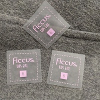 Prix de gros Nom de marque personnalisé Etiquette de transfert de chaleur pour sérigraphie et étiquettes de lavage et d'entretien du cou pour T-shirts