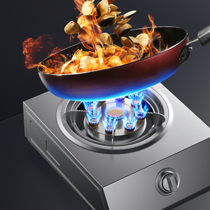 Estufa de <span class=keywords><strong>Gas</strong></span> Individual de Acero Inoxidable y Vidrio Templado para Uso Doméstico de Sobremesa con Encendido Electrónico por Pulsador, para <span class=keywords><strong>Gas</strong></span> Licuado Natural - Product Image 2