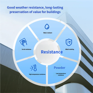 Vernice Metallica Acrilica a Base d'Acqua ad Alta Resistenza alle Intemperie per Strutture Esterne con Effetto Pietra, Colore Bianco - Product Image 4