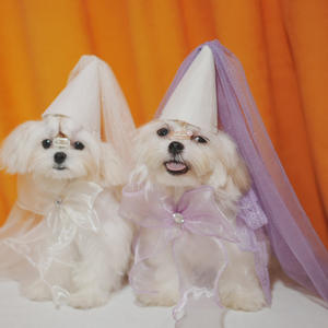 Vente en gros de chapeaux et nœuds papillon pour chiens, accessoires de mariage, voile, mariée, fête d'anniversaire - Product Image 1