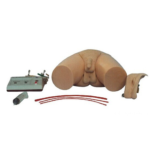 Mannequin de formation médical, modèle blanc de taille de vie, soins bon marché pour la chimiothérapie, formation médicale de haute qualité - Product Image 3