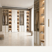 Système de dressing moderne de luxe avec portes en verre fumé, cadre foncé et éclairage intérieur LED chaud