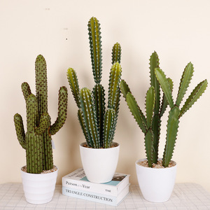 Artificial Cactus Potted Plants Multi Piece Package High Simulation Indoor Desktop Decorative Greenery - Product Image 3