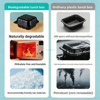 Boîte alimentaire jetable noire à 3 compartiments de 9x9 pouces, avec couvercle à charnière, compatible micro-ondes, pour la préparation de repas en restaurant