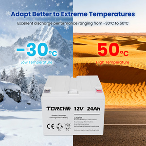 En stock Batterie au plomb 12V 24Ah pour stockage d'énergie solaire domestique Batterie portable Vente en gros - Product Image 3