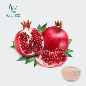 Wholesale Customized Food Grade 100% Natural Pomegranate Fruit Powder