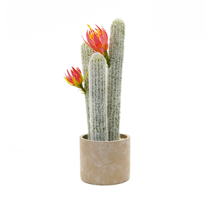 Mini Real Touch <span class=keywords><strong>piante</strong></span> <span class=keywords><strong>grasse</strong></span> verdi in vaso <span class=keywords><strong>con</strong></span> fiore per la decorazione della scrivania pianta di <span class=keywords><strong>Cactus</strong></span> artificiale - Product Image 1