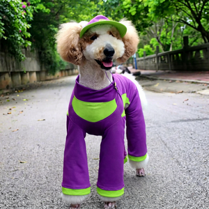 Combinaison en maille à quatre pattes pour chien, rafraîchissante et anti-poussière, pour l'extérieur, pour Golden Retriever, Samoyed, Malamute, Caniche géant, Violet - Product Image 1