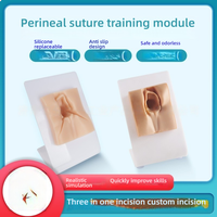 Modèle de pratique de suture en obstétrique et gynécologie Module de formation à la suture vulvaire périnéale Simulateur de compétences de suture avancé