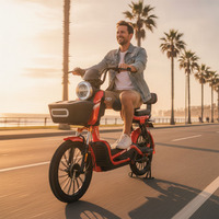 Vélo électrique personnalisé d'usine 48V20A, vélo de ville électrique, vélo électrique hybride pour adulte