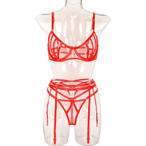 Nederland Ijpe Vrouwen in Sexy Italien Herstellung Höschen Dessous Modedesigns - Product Image 6