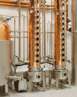 Équipement de distillation haute performance DYE 4000L pour spiritueux neutres - Système de chaisseur multi-colonnes pour la vodka et l'alcool industriel