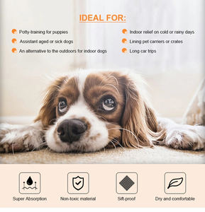 Coussinets d'entraînement pour chiots antidérapants jetables absorbants pour chiens, directement de l'usine - Product Image 3