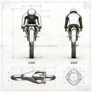 Escultura de Bicicleta de Acero Inoxidable Pulido Personalizada en Oferta, con Impresión Digital, Tamaño Real, para Decoración Moderna de Interiores y Exteriores 1 - Product Image 6