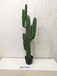 Offre Spéciale grand en plastique <span class=keywords><strong>d</strong></span>'<span class=keywords><strong>intérieur</strong></span> plantes tropicaux <span class=keywords><strong>d</strong></span>écoratifs plantes de cactus en pot - Product Image 3